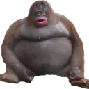 stinky