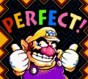 warioPERFECT warioPERFECT