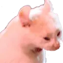 HESCREAM