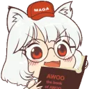awoostudy