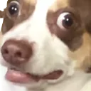 bubz3