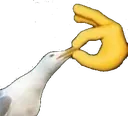 shut