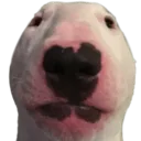 walter