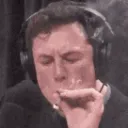 elonStoned