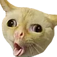 omg