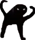 angryashecc