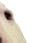 :w3: Discord Emote