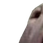 :w1: Discord Emote