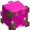 PinkWybel