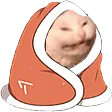 cozymons