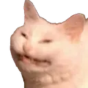 snomel