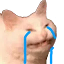 sadmons