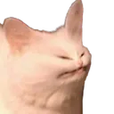 pinchmons