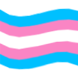 tee_transflag Discord emoji