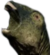 TI_dryoAAA