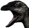 TI_oro