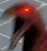 TheEndIsNigh