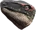 TI_stego