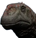 pue1