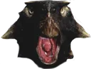 TI_TacoScream TI_TacoScream
