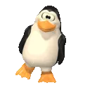 penguin
