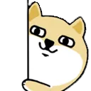 shibaPeek