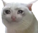 ThisIsSoSad