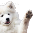 emoji_77 Discord emoji