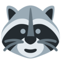 :raccoon: Discord Emote