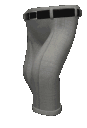 :pantswalk: Discord Emote