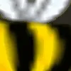 BeeCrunk_HD BeeCrunk_HD