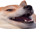 hahah Discord emoji