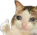sadthumbs