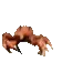 CrabPls CrabPls