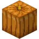 pumpkin pumpkin