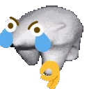 hnsYeetbearOwO