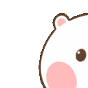 bearienom1