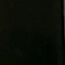 dustNut