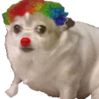 chiwaClown