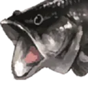 BassPog