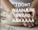 aaaaaa