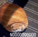 noooooo noooooo