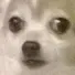 nervousboye
