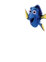 dory