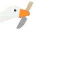 gooseheadknife