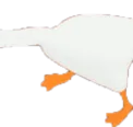 goosebodyL