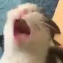 AAAAAAAAA