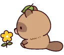 tanukisit