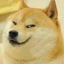 Dog_Smile Dog_Smile