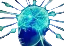 BrainEnlightenment